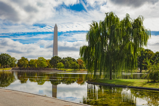 washington