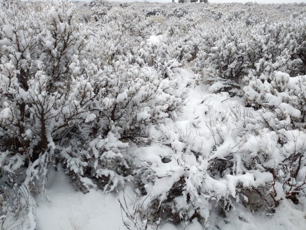 雪天抽象风景