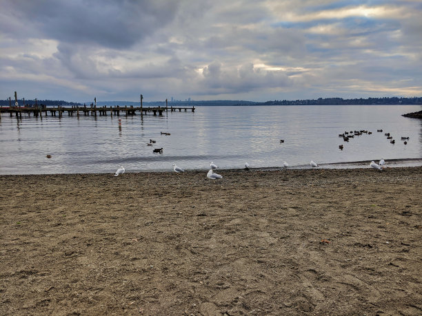 kirkland