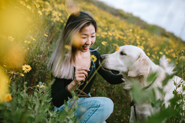 在公园里的女人和她的狗狗