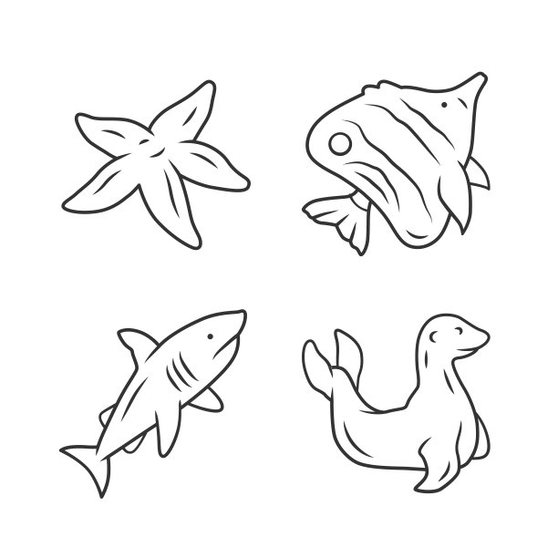 海豹logo