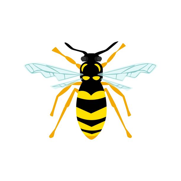 蜜蜂卡通标志
