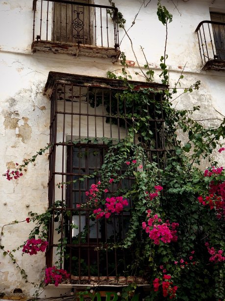 古村墙窗