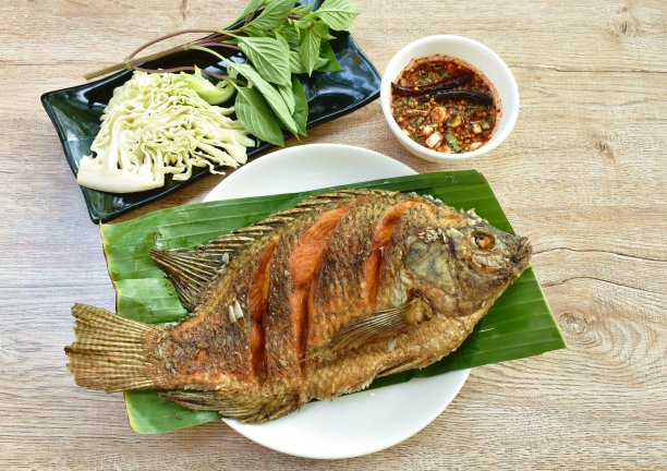 tilapia
