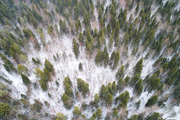 冰雪反面