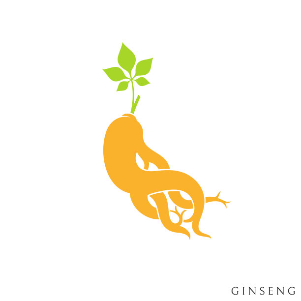 中草药人参插画