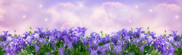 紫色星空梦幻花朵