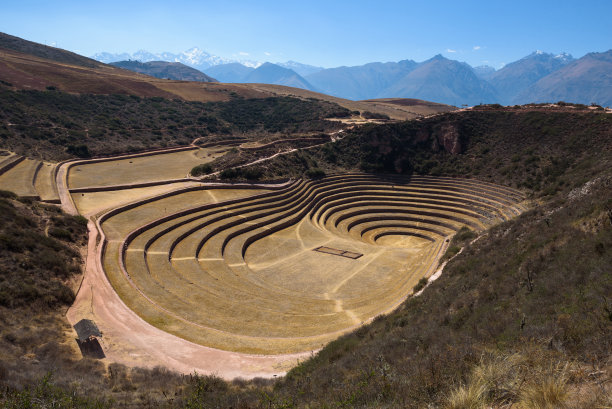 moray