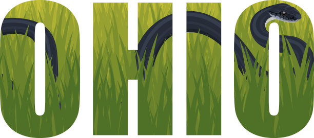 公字