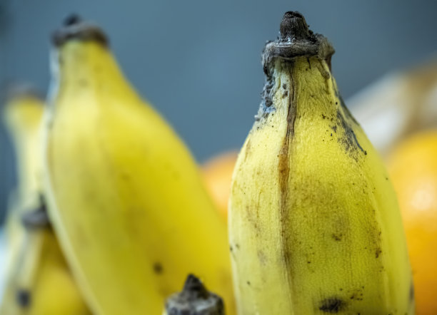 香蕉摄影图片