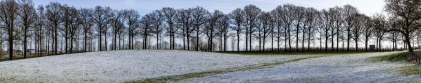 冬季草原积雪树木