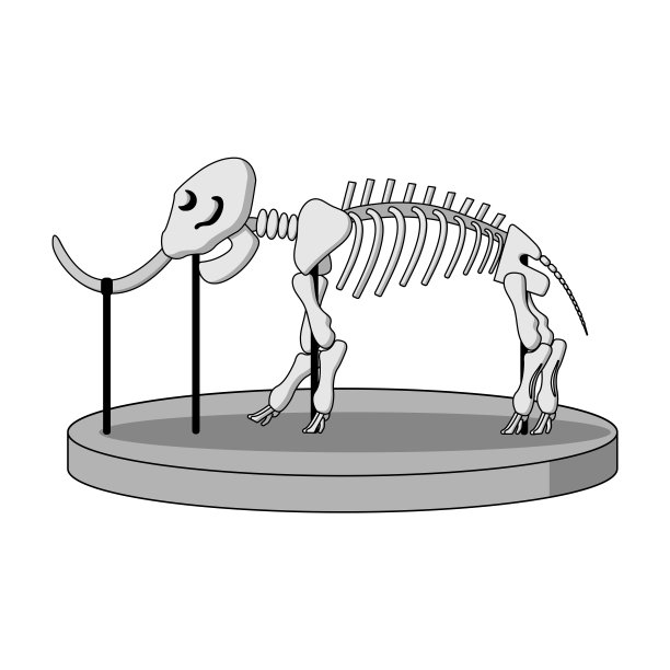 远古动物化石