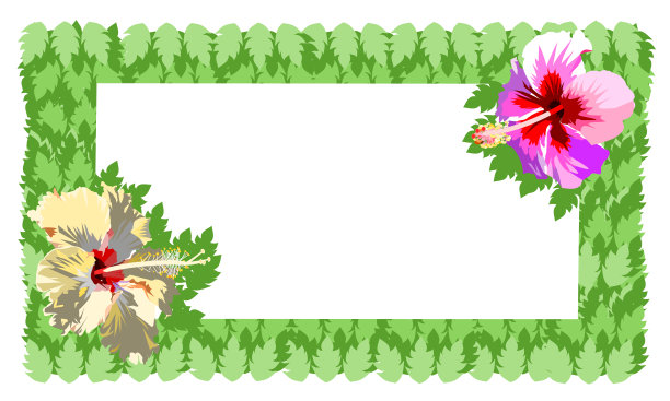 清新热带花卉印花图案