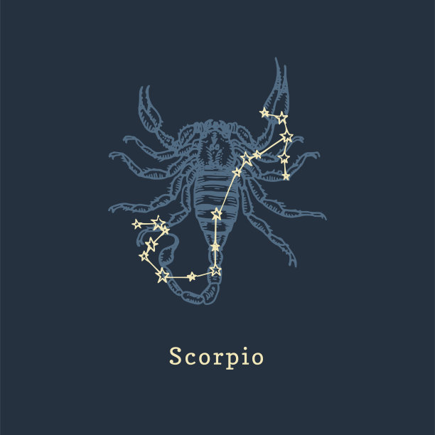 蝎子logo