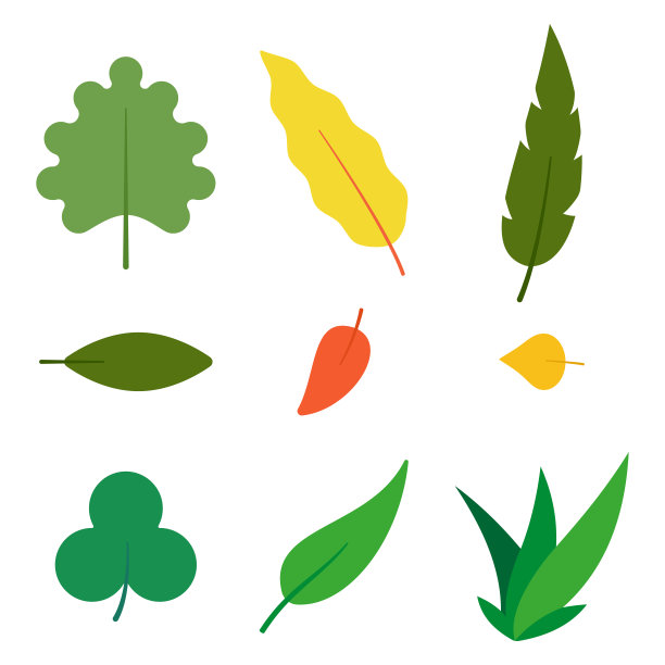 简约风格卡通树木插画