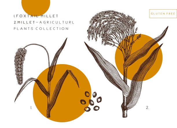 millet