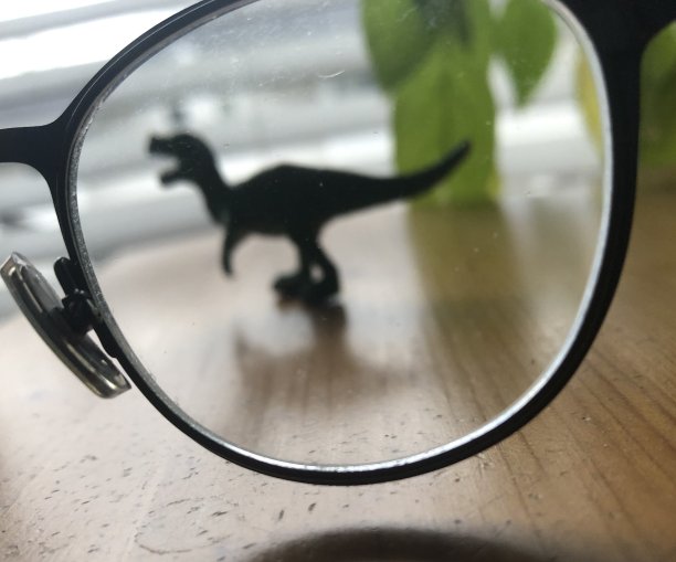 小动物眼镜