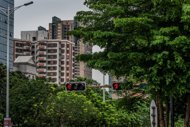 foshan