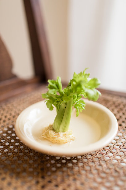 小青菜特写