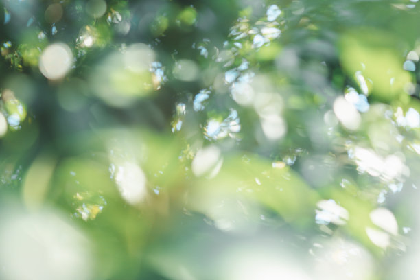 叶子水滴绿叶背景素材