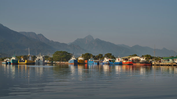 红树林海滩全景图