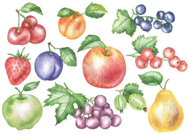 水果 葡萄 梨 樱桃