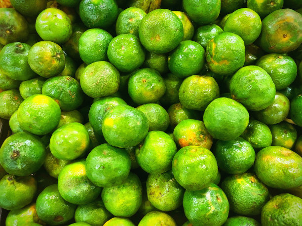 绿色黄果柑