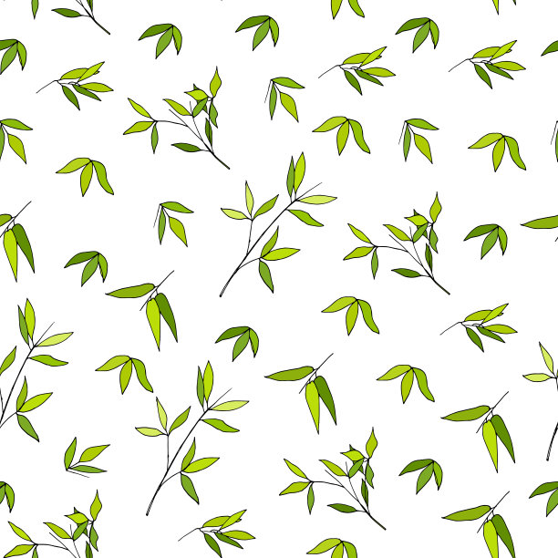 绿茶叶子插画