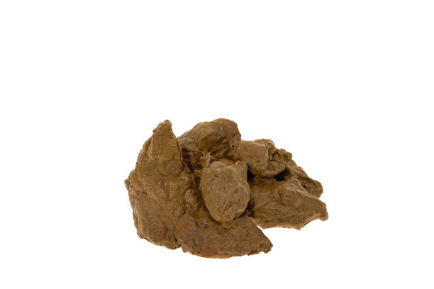 poo