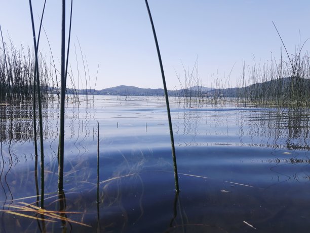 干净漂亮的波浪背景