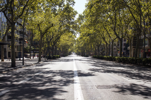 avenue