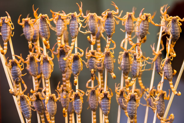 scorpio