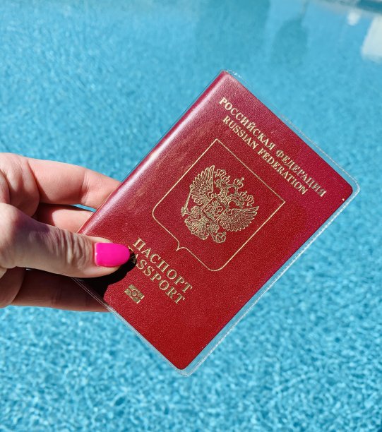 visa