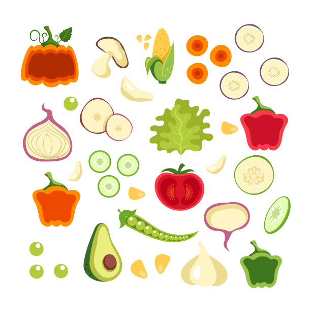 矢量土豆插画