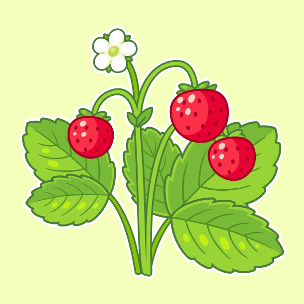 野草莓花