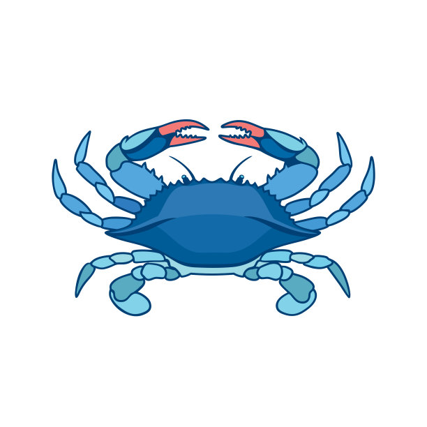 青蟹插画