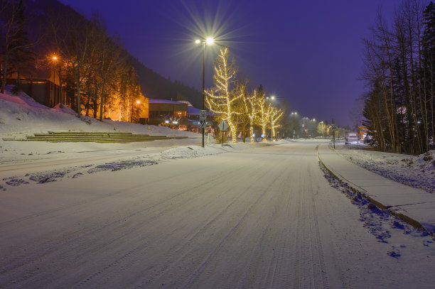 道路照树灯