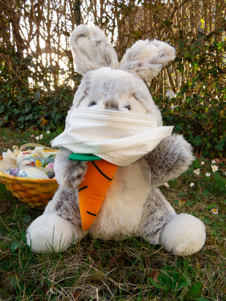 戴口罩的兔子