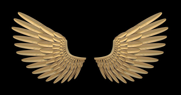 wings