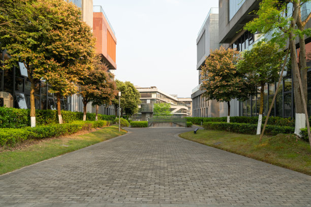重庆大学旅游
