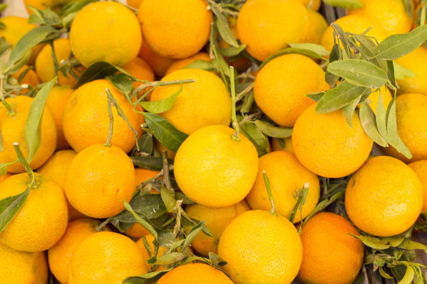 超市柑橘橙