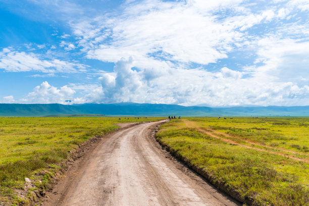 公路旅行