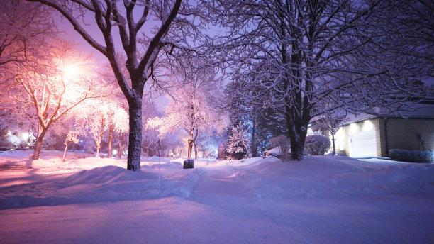 白雪皑皑冬季郊外雪景