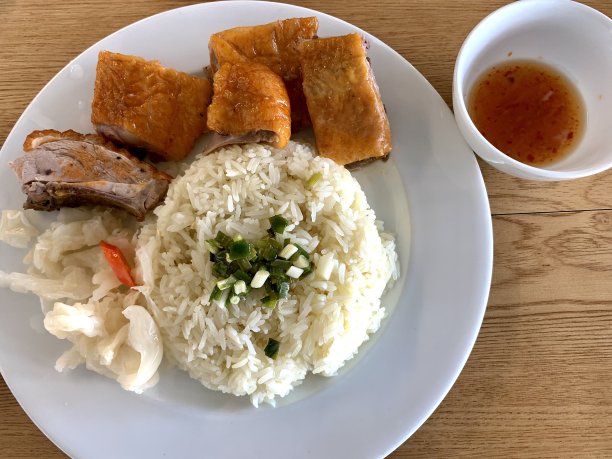 烧鸭饭