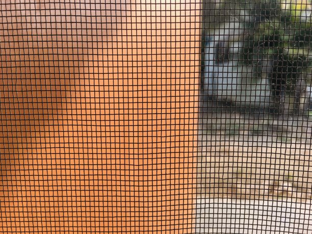 绿色圆点点