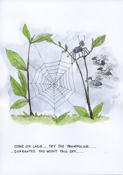 艺术蜘蛛网