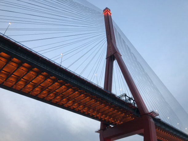 杨浦大桥高架