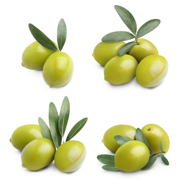 橄榄树果子
