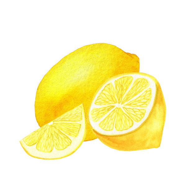 手绘小柠檬