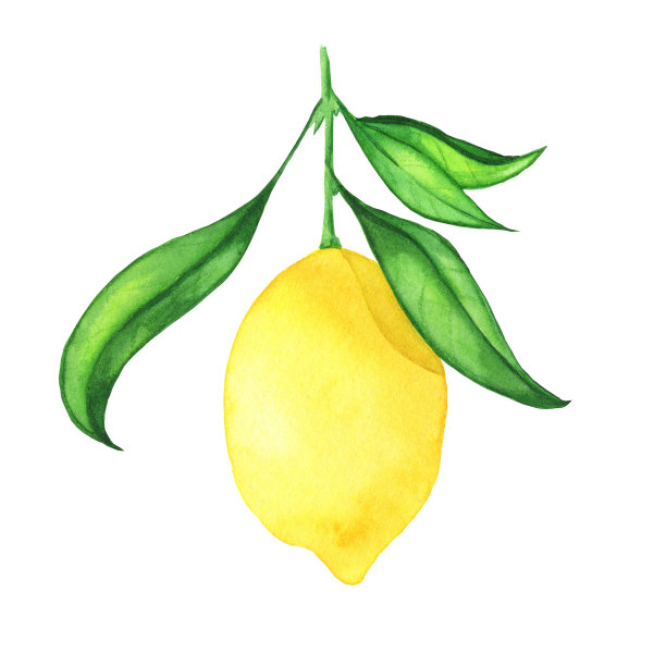 手绘花
